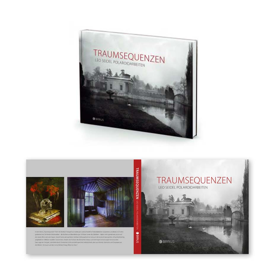 Cover Buch Traumsequenzen